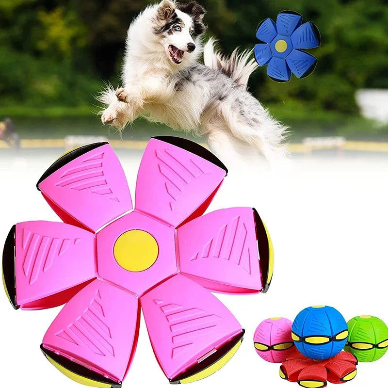 UFO Flying Saucer Ball Training Games
